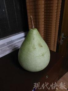 吃咸瓜中毒,揭秘咸食中的潜在风险 第2张 吃咸瓜中毒,揭秘咸食中的潜在风险 第2张